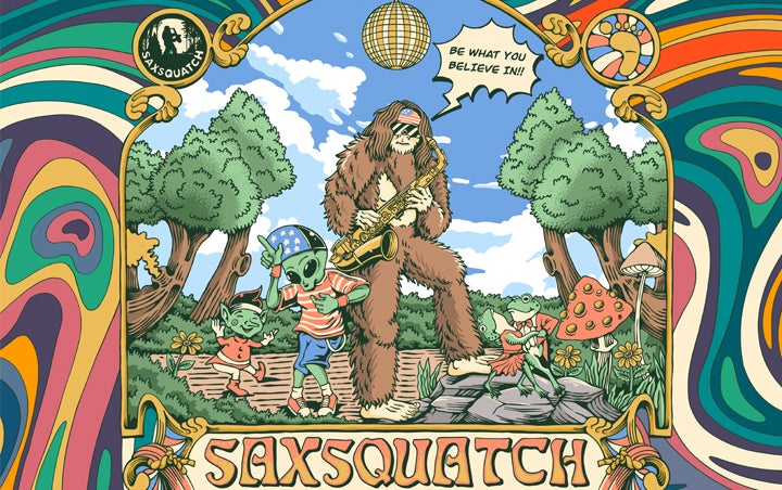 More Info for SAXSQUATCH